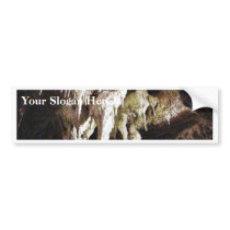 Beautiful Crystal Cave bumper stickers
