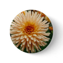 Beautiful Dahlia buttons