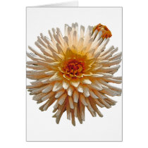 Beautiful Dahlia cards