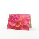Beautiful Dahlia Card by ggbythebay Beautiful Dahlia Card
