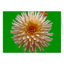 Beautiful Dahlia cards