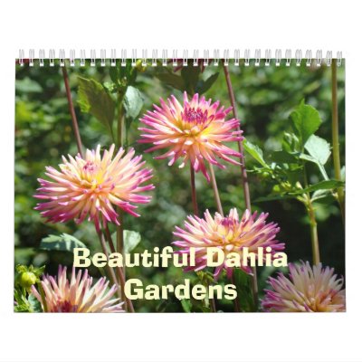 Beautiful Dahlia Gardens Calendars Floral Photos by Basleeartprintgifts