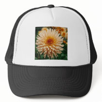 Beautiful Dahlia hats