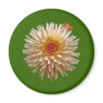 Beautiful Dahlia magnets