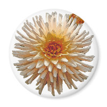 Beautiful Dahlia magnets