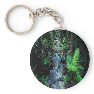 Beautiful Daintree National Park Keychain by design_girl