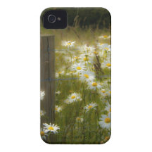 Beautiful Daisies iPhone 4/4S ID Case iPhone 4 Case-Mate Case