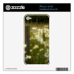 Beautiful Daisies iPhone 4/4S Skin Skin For iPhone 4S