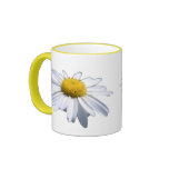 daisy, daisie, dasey, flower, flowers, flower