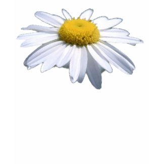 BEAUTIFUL DAISY - ASTERACEAE - SUNFLOWER shirt