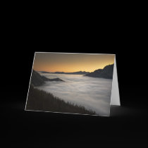 Beautiful Dawn cards