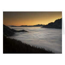Beautiful Dawn Greeting Cards
