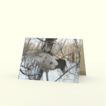 Beautiful Dead cards by MoiraAshleigh Beautiful Dead cards