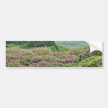 Beautiful Deer Park Bumper Stickers
