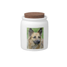 Beautiful Dog Candy Jar
