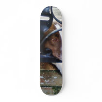 Beautiful Dog On Bricks skateboards