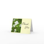 Beautiful Dogwood Thank You Cards