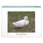 Beautiful Dream Calendars
