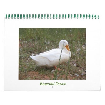 Beautiful Dream Calendars by llmont22
