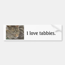 Beautiful Dreamer (sleeping tabby) Bumper Sticker