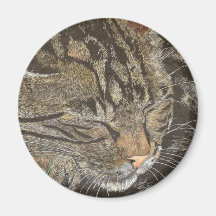 Beautiful Dreamer (sleeping tabby) Refrigerator Magnet