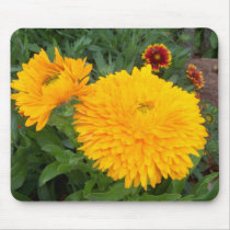 beautiful-duo mousepads