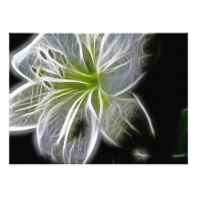 Beautiful Electric White Lily Custom Invites