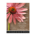 Beautiful Elegant ConeFlower Wedding Invitation postcard
