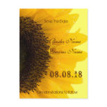 Beautiful Elegant Sunflower Wedding Invitation Post Cards