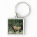 Beautiful Elk Key Chains