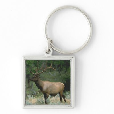 Beautiful Elk Key Chains by Alleycatshirts
