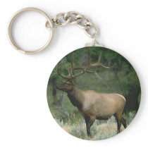 Beautiful Elk Keychain