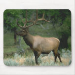 Beautiful Elk Mousepads