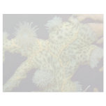 Beautiful Encrusting anemones attached to a sea fa Letterhead