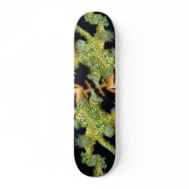 Beautiful Encrusting anemones attached to a sea fa Skate Board Deck