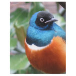 Beautiful Exotic Bird Perched Personalized Flyer