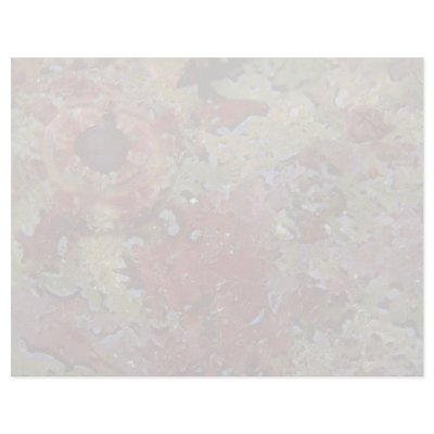 Beautiful Eye of a Galapagos scorpion fish Personalized Letterhead by inspirelove