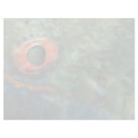 Beautiful Eye of a parrotfish Custom Letterhead
