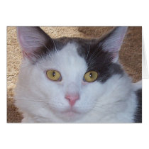 Beautiful Eyes Card