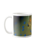 Beautiful Eyes of a blue spot stingray Coffee Mugs