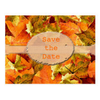 Beautiful fall color leaves save the date postcard post cards