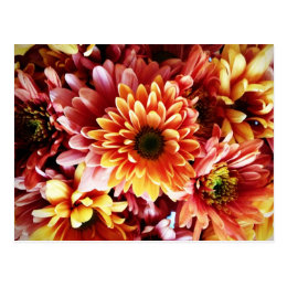 Beautiful Fall Floral Bouquet Design Gifts Postcard