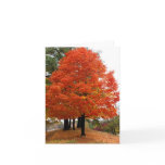 Beautiful Fall Notecard