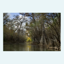 Beautiful Fall Spring Run Print posters