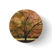 Beautiful Fall Tree Buttons