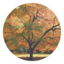 Beautiful Fall Tree stickers by FallSeason Beautiful Fall Tree stickers