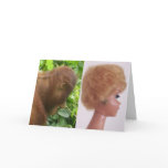 hairdo, dolls, funny, pretty, girls, exotic,