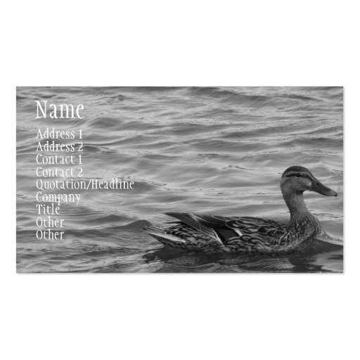 Beautiful Female Mallard Duck Business Card Templates (front side)
