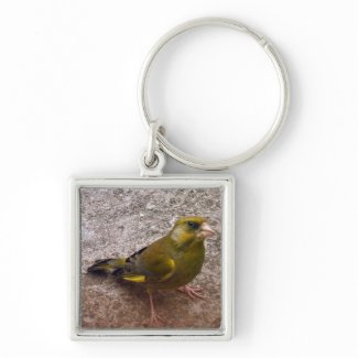 Beautiful Finch Basic Round Button Key Ring