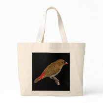 Beautiful Firetail Finch - Stagonopleura  Bags